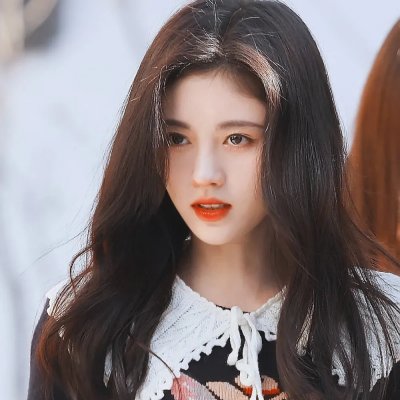 奥斯汀书会