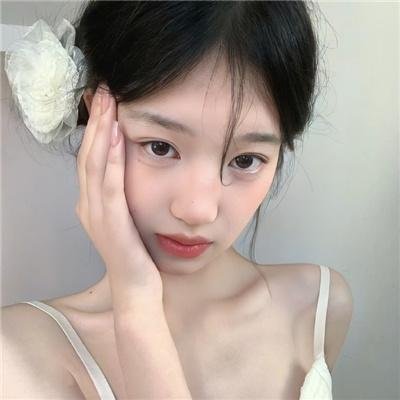 兽娘动物园